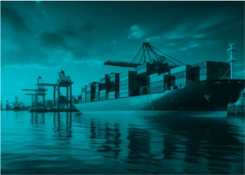 Shipping Lines and Stevedores